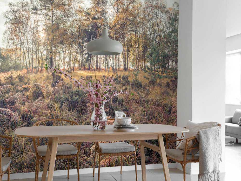 Skog om morgenen