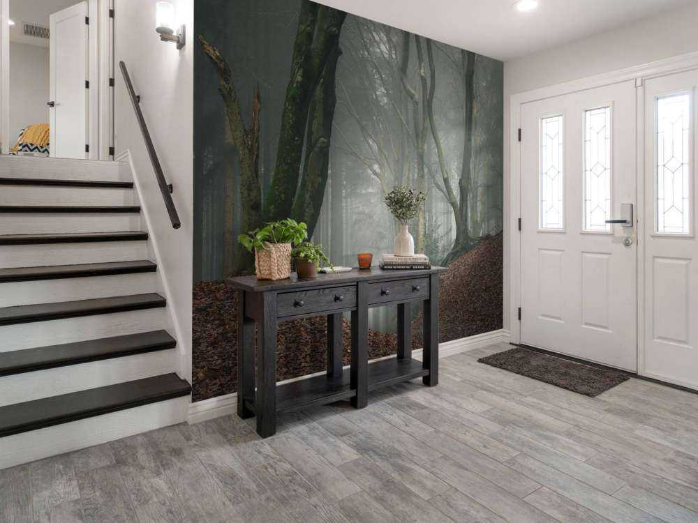 Vei gjennom mystisk skog