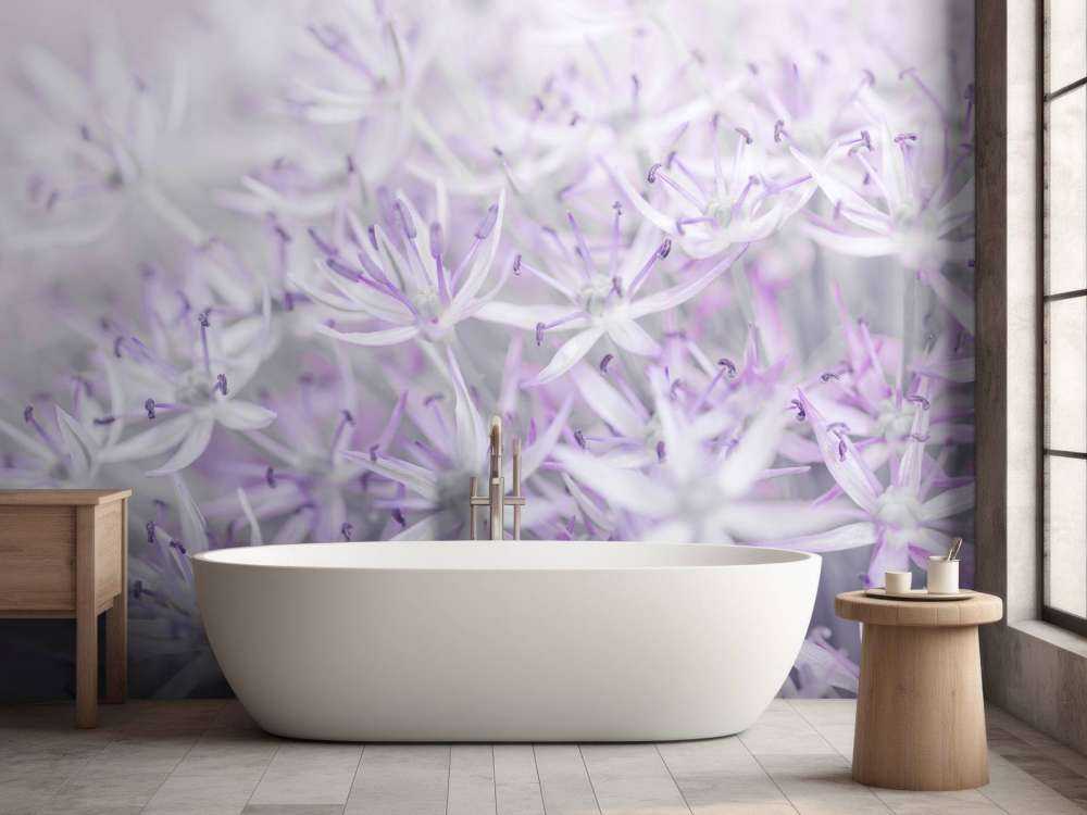 Allium blomster nærbilde