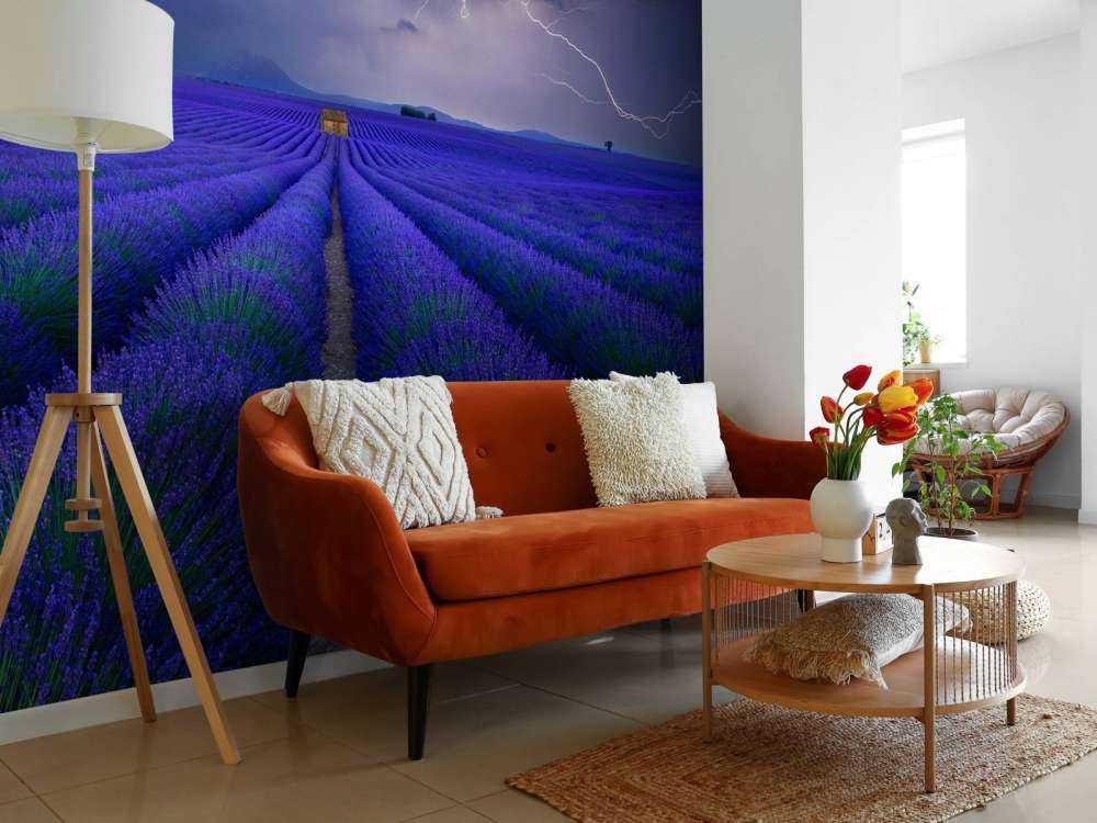 Wetter im Lavendelfeld