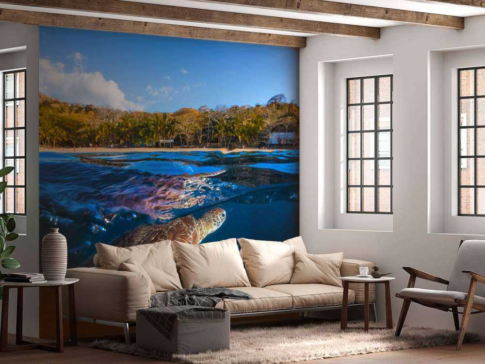 Green Turtle - Sea Turtle