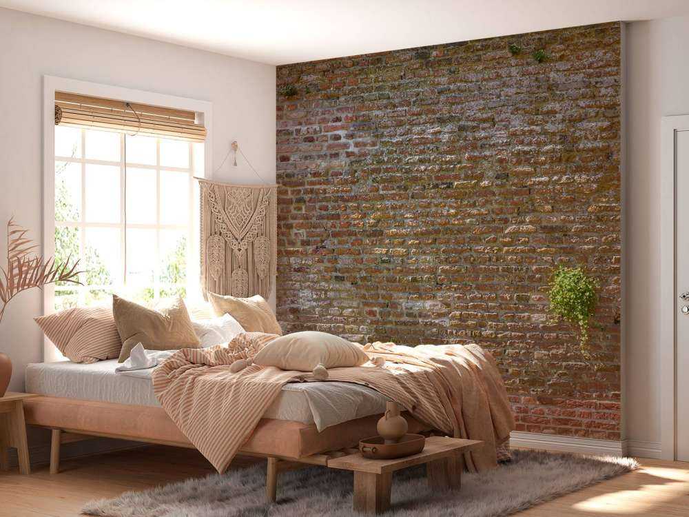 Gammel steinmur med planter