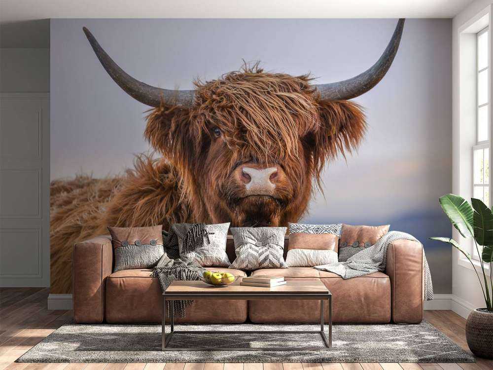 Stirrer det skotske høylandet