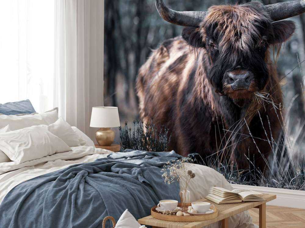 Det skotske høylandet