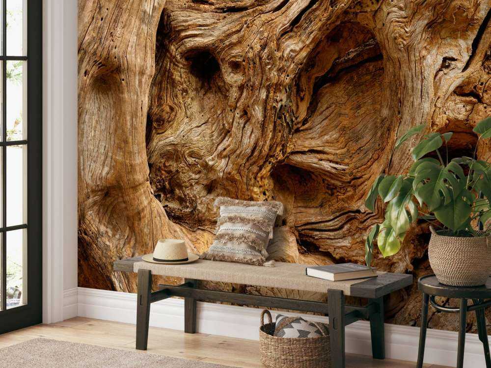 Lukk opp gammelt treverk