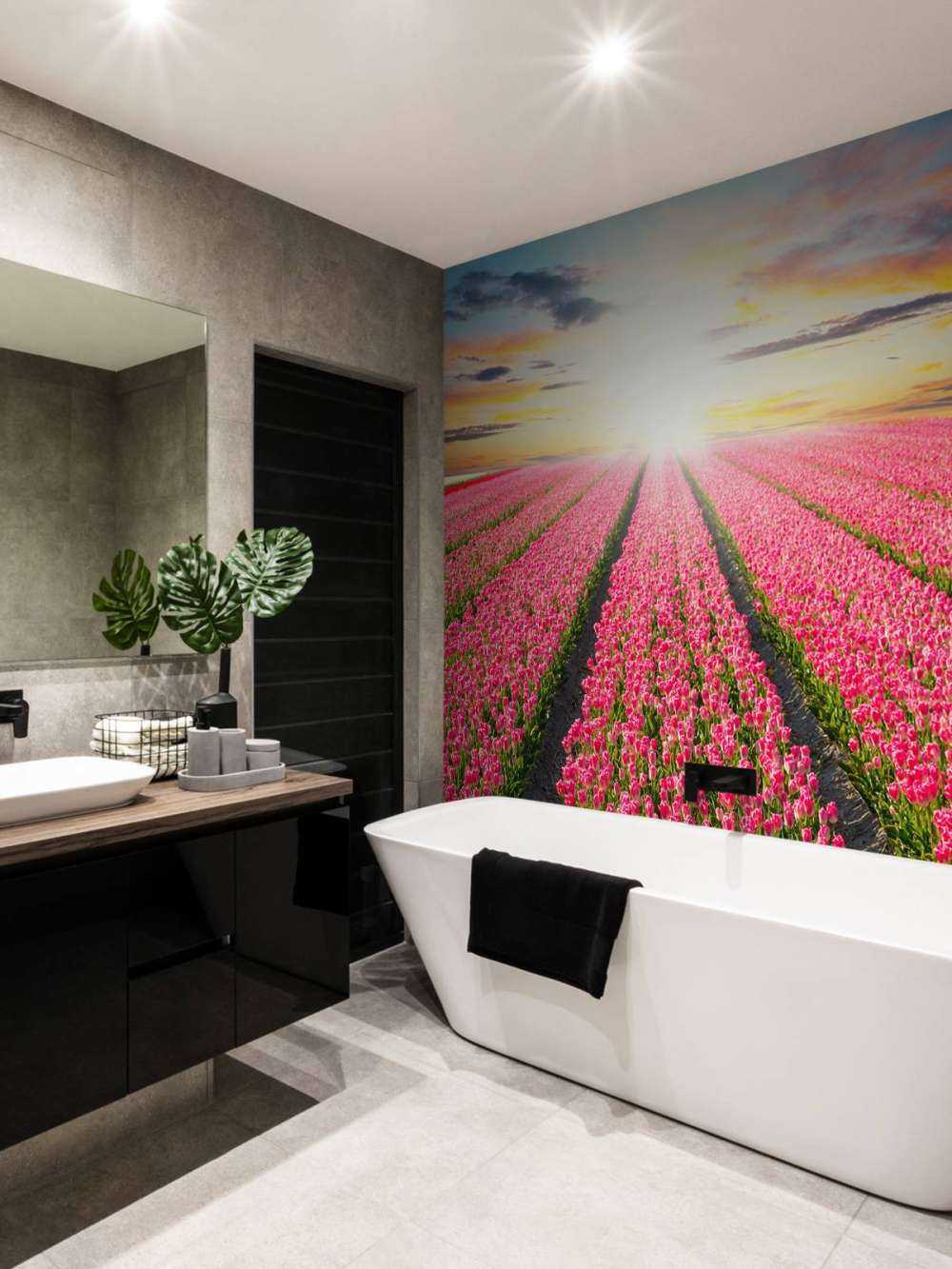 tulipanner med stigende sol