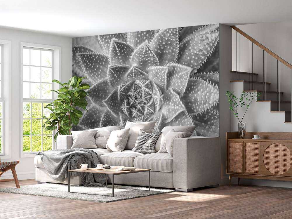 Nærbilde sukkulent plante