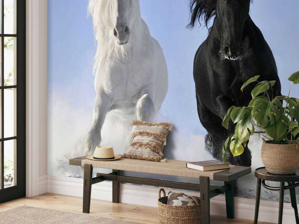 Hvit og en svart hest