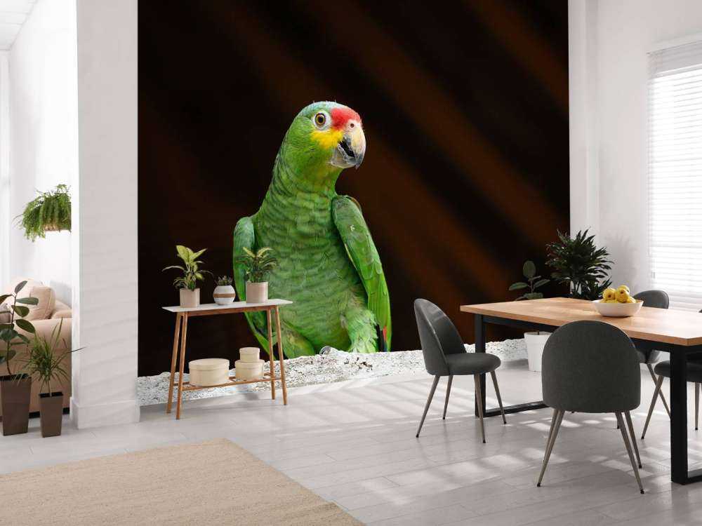 nysgjerrig papegøye