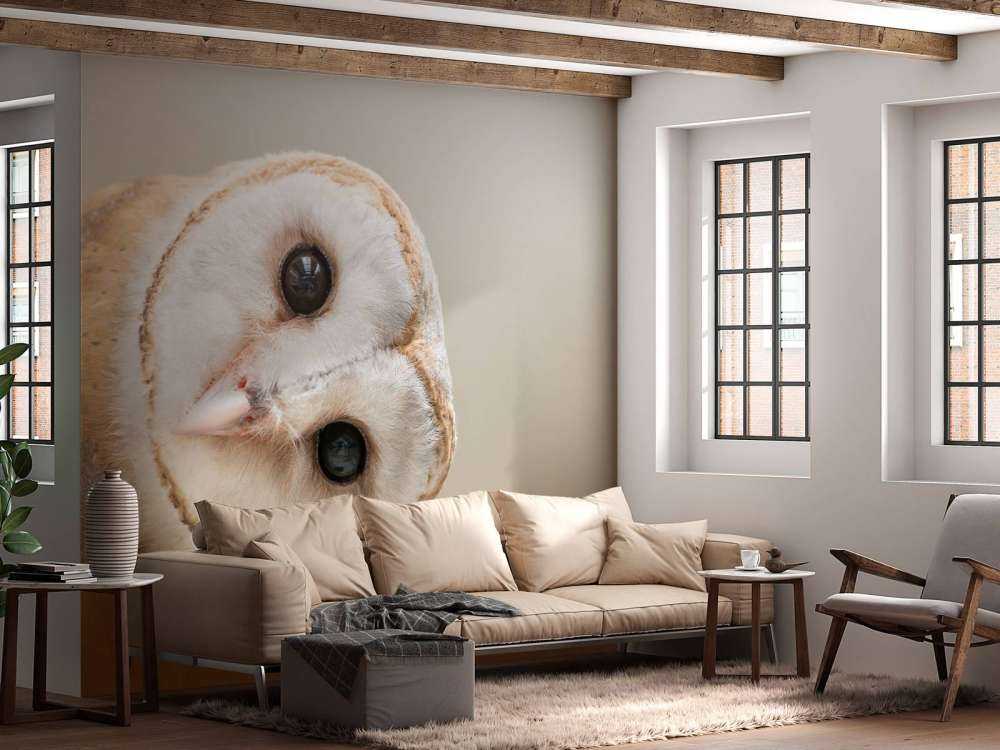 Ugle med hodet på skrå