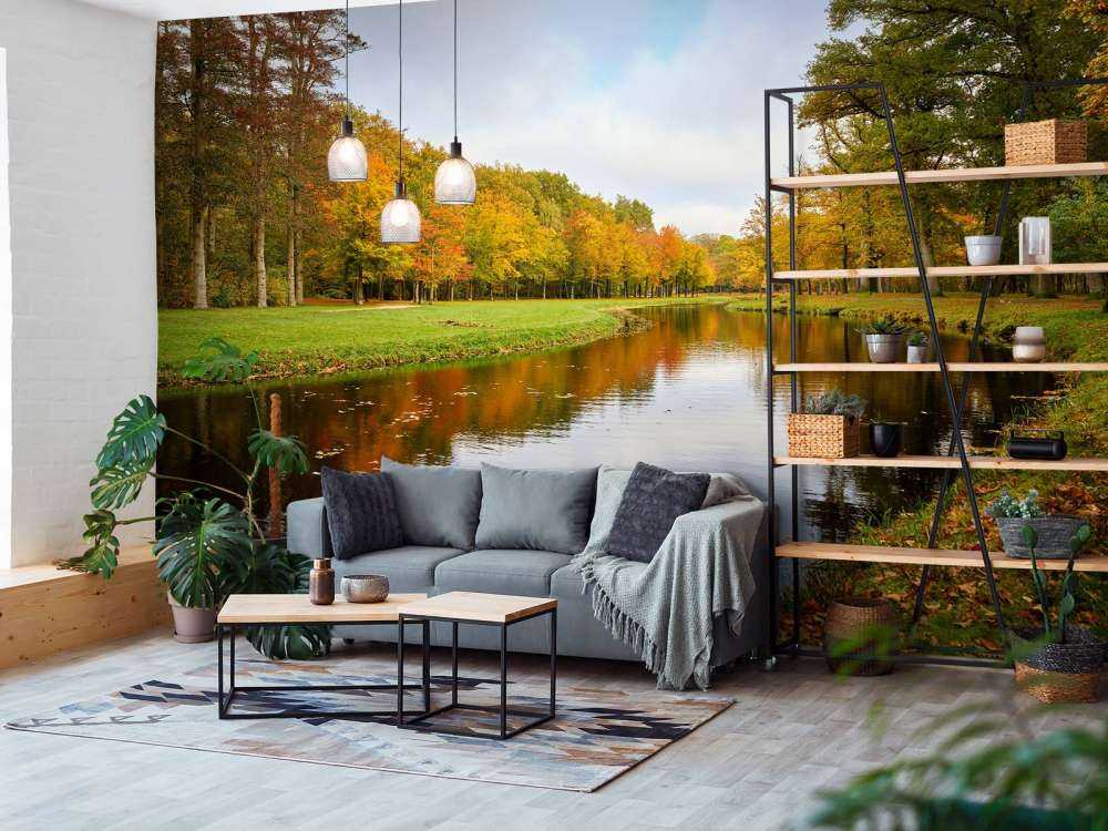 Skog om høsten