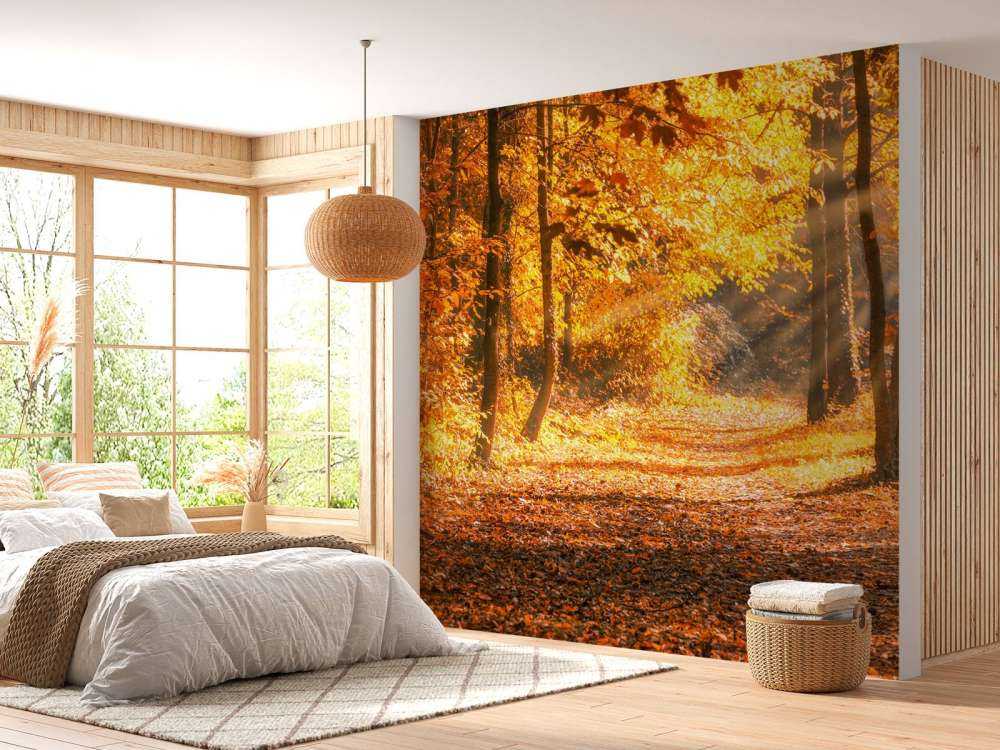 Panorama om høsten