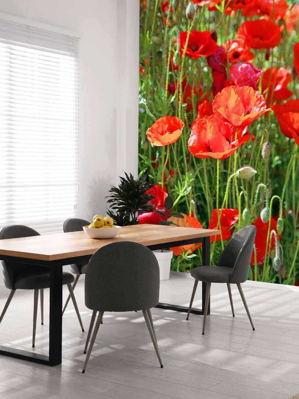 Nærbilde av valmuer