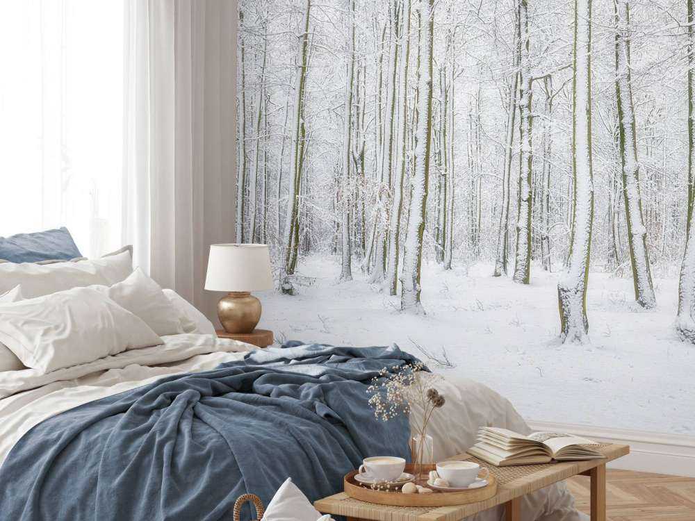 Skog med snø