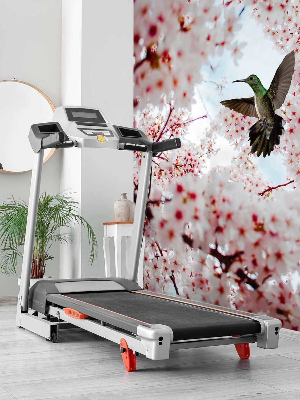 Kolibri mellom blomstene