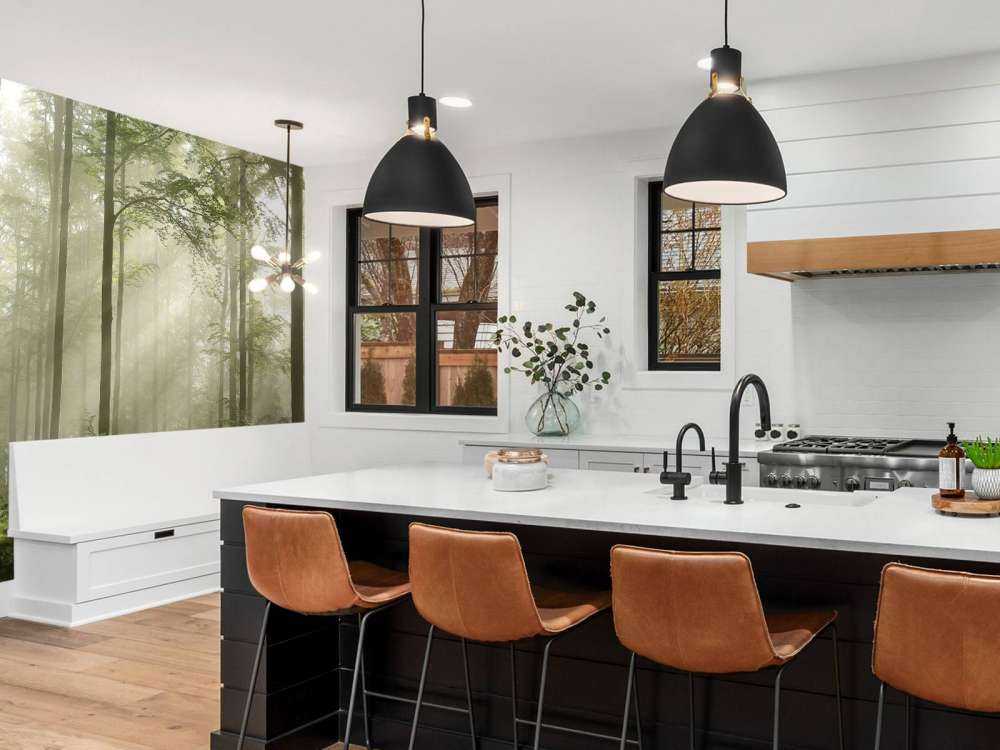 Grønn skog i tåken