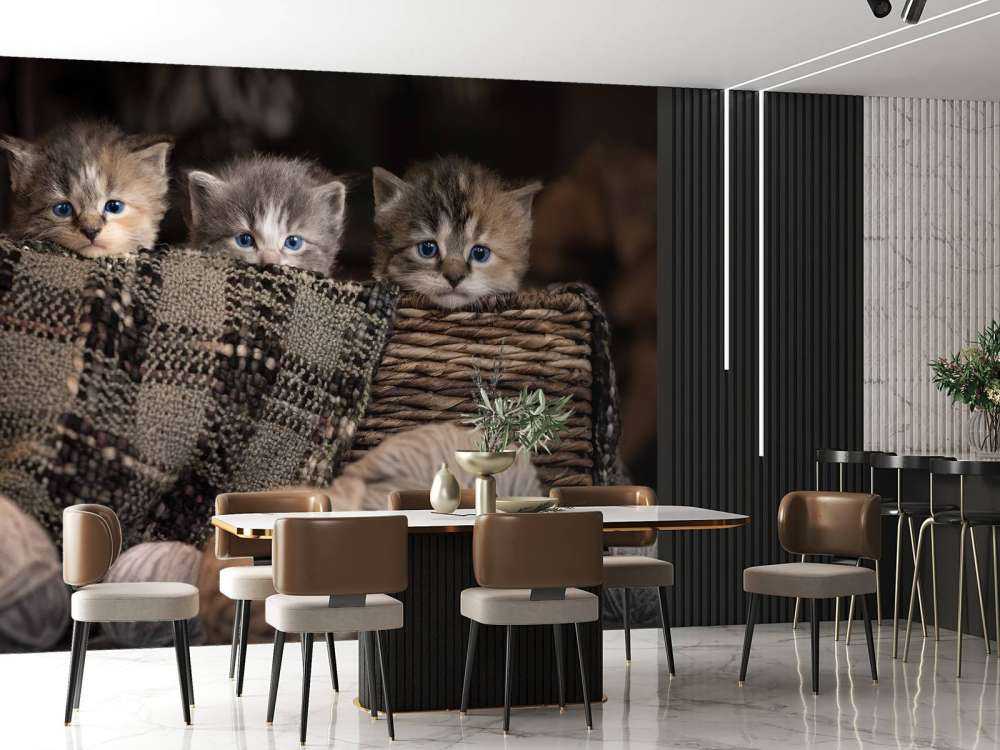 Tre kattunger i en kurv