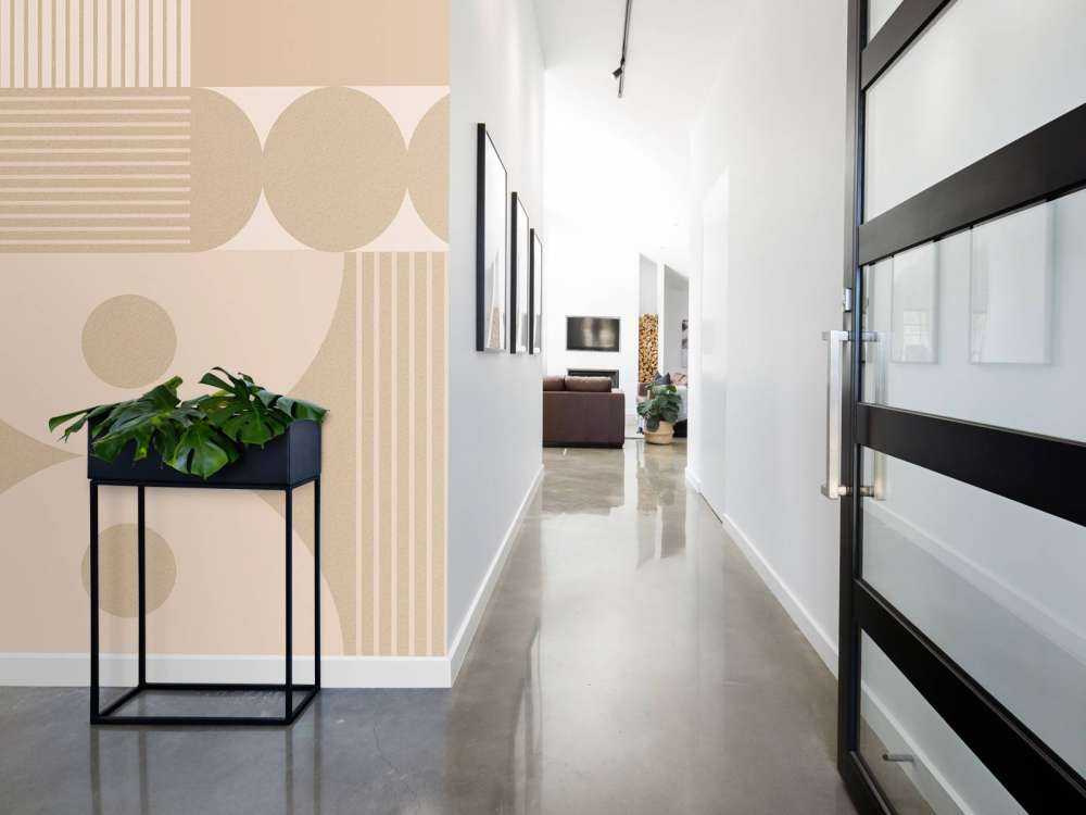 Simplicity Geometry