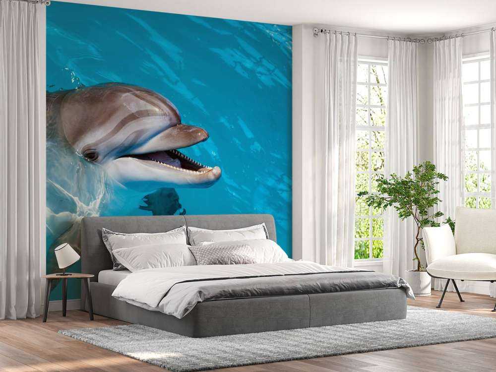 Vänlig delfin