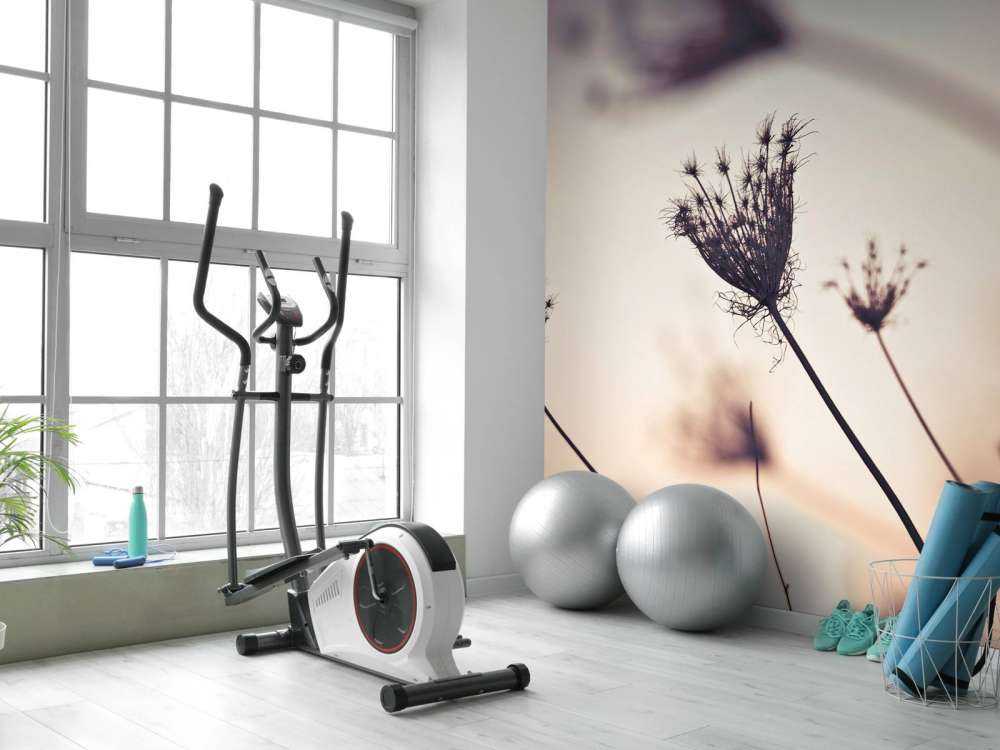 Silhuetter av växter