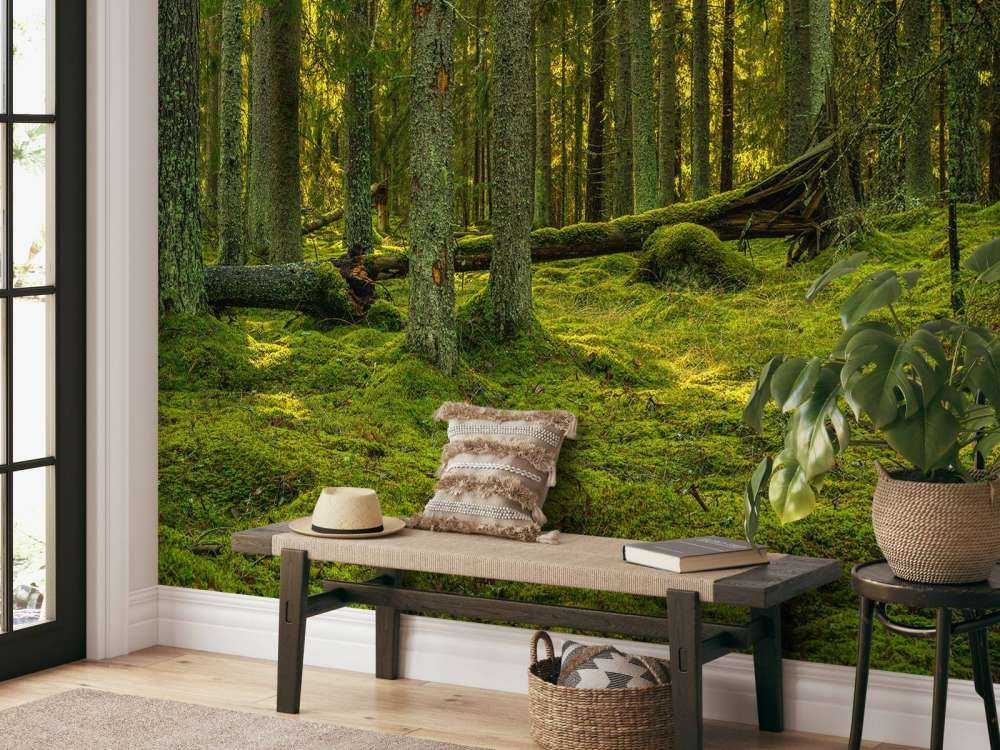Grön tallskog