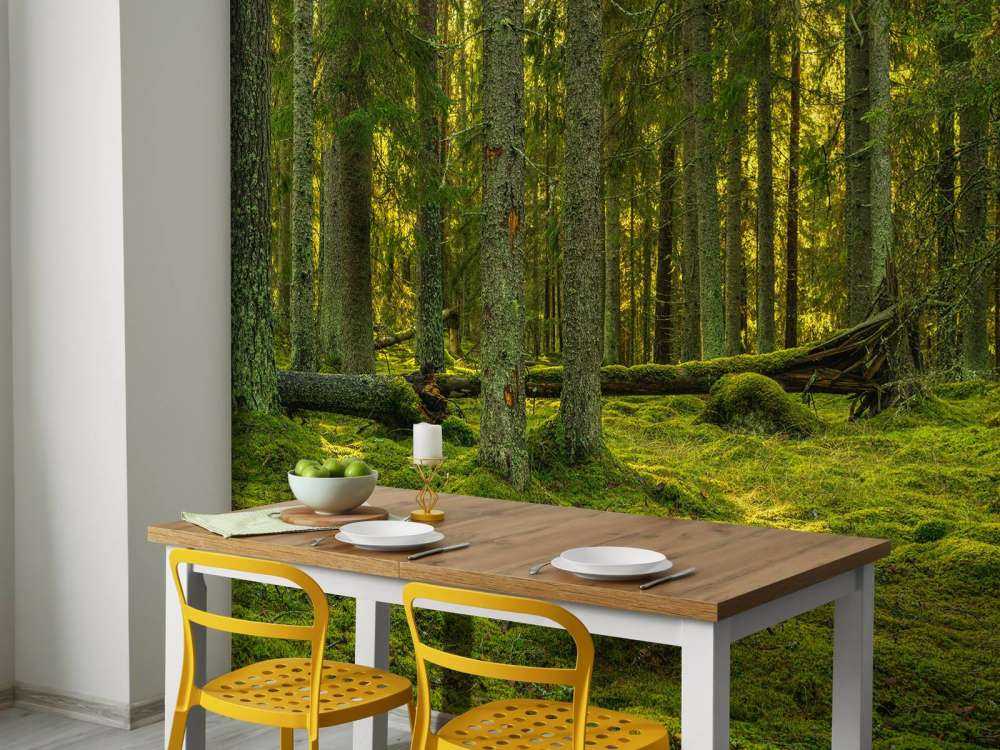 Grön tallskog