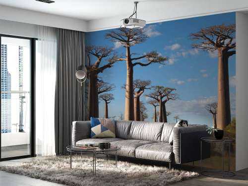 Baobab träd