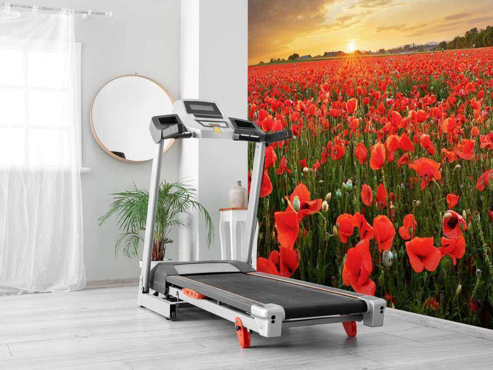 Solnedgång med vallmo