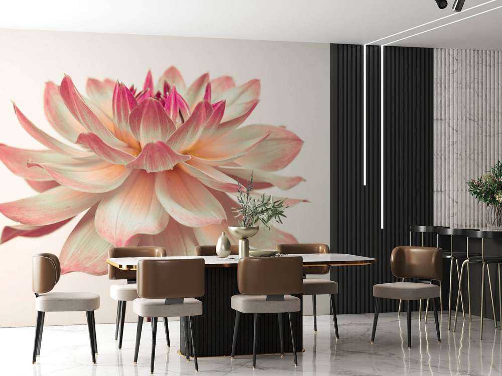 Dahlia blomma