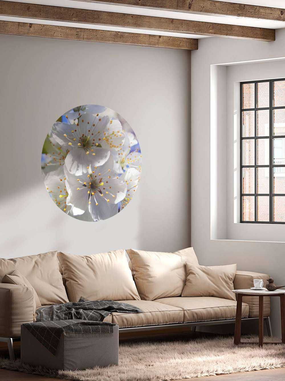 Närbild av vita blommor