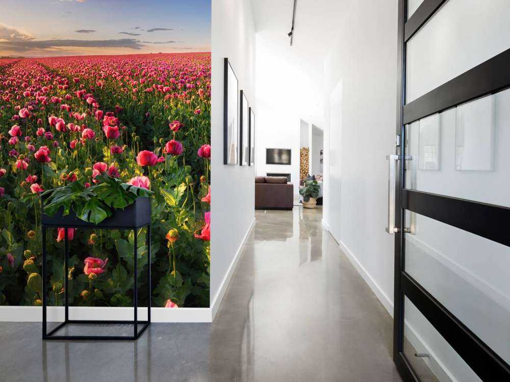 Fält med rosa vallmo