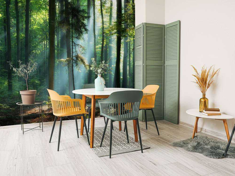 Soluppgång i skogen