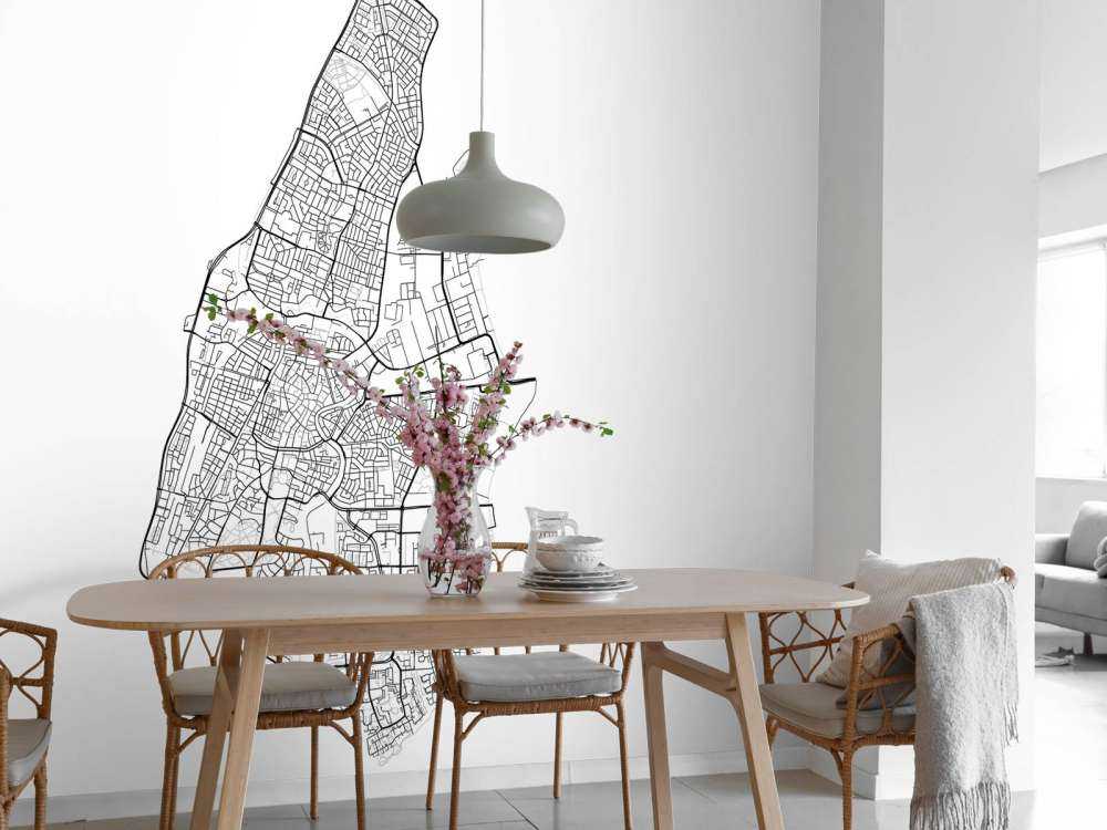 Karta över Haarlem, vit