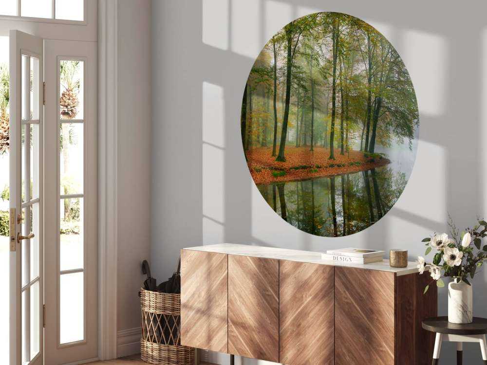 Trädens reflektion i en damm