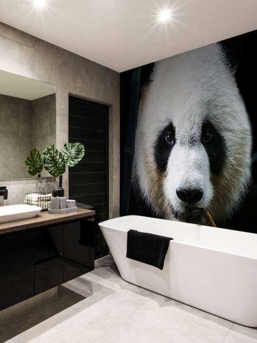 Panda Porträtt