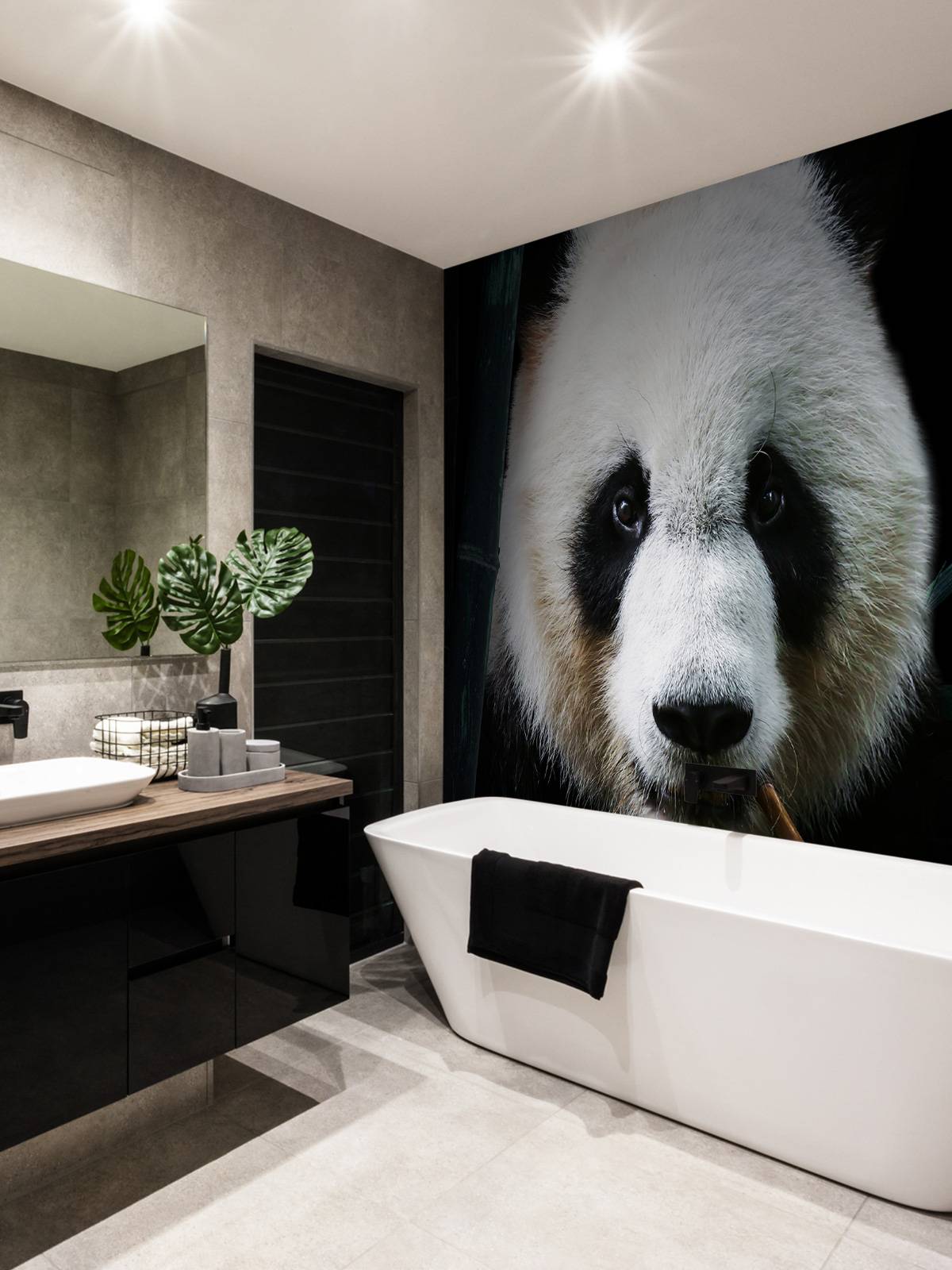 Panda Porträtt