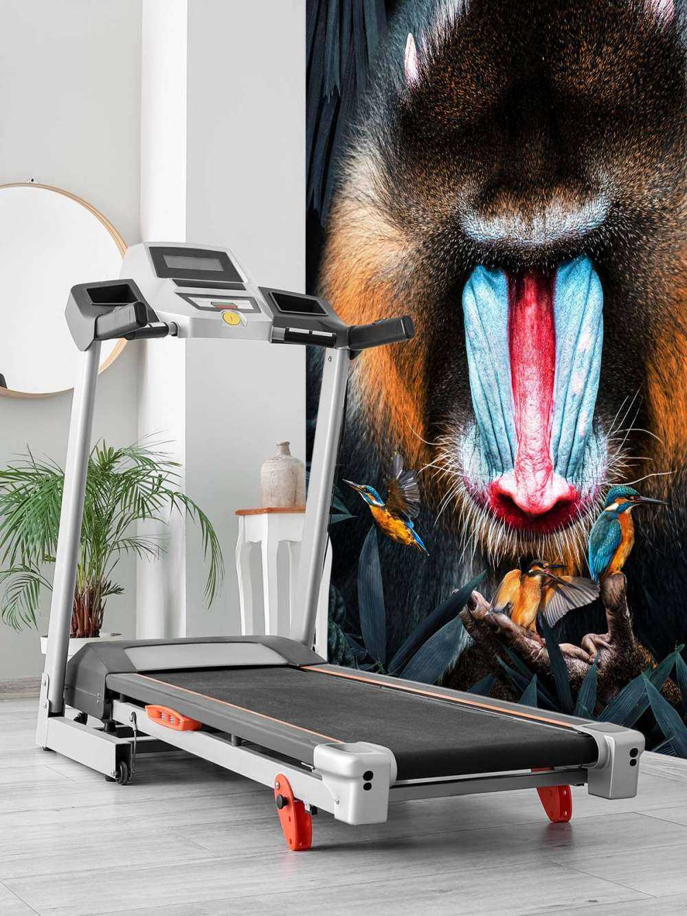 Mandrill Porträtt