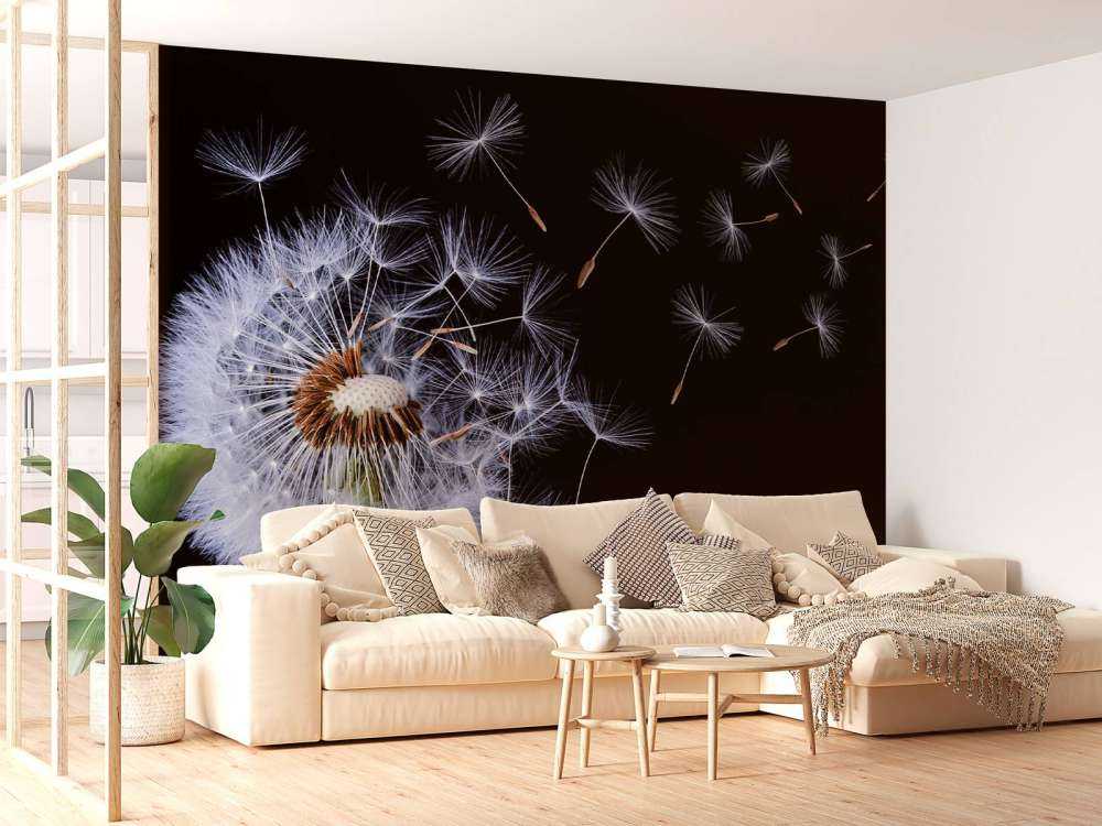 Dandelion Blowing