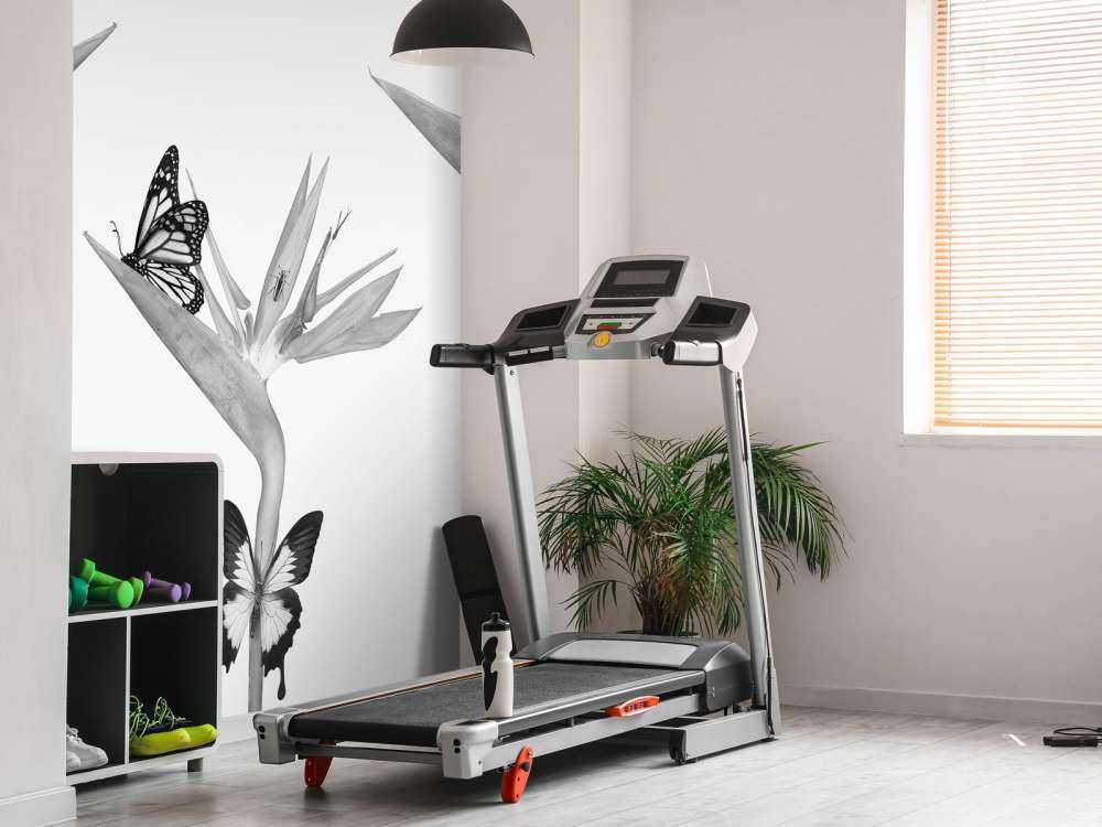 Fjärilar på paradisfågelblommor