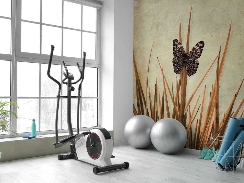 Fjäril vid gammal vägg