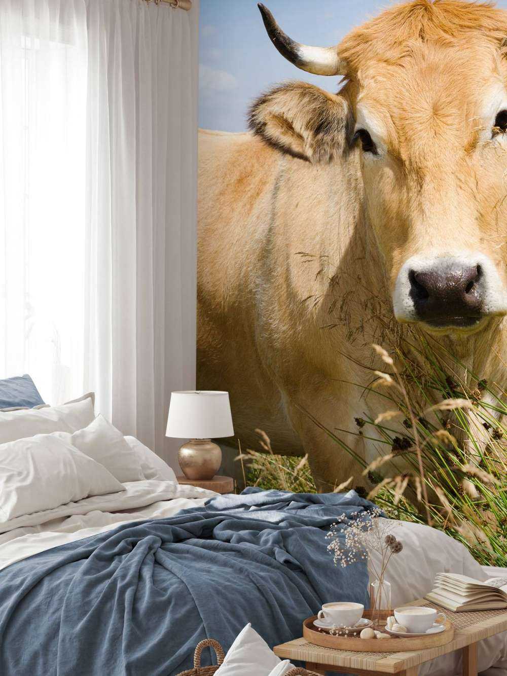 Ko med horn