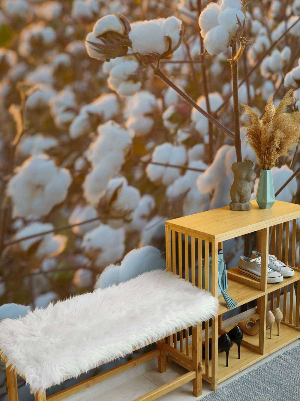 Bomuldsmark med gylden gul himmel