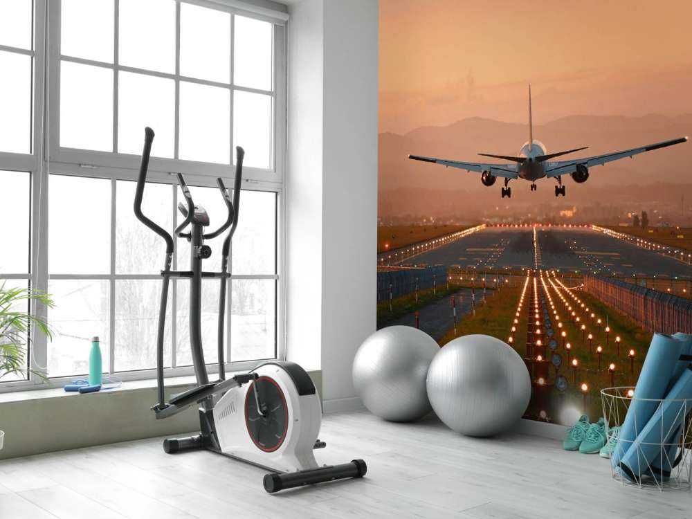 Landingsfly i aftensolen