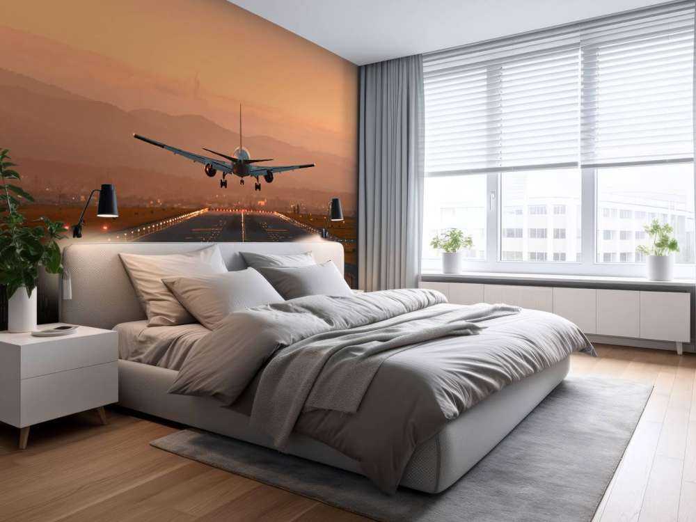 Landingsfly i aftensolen