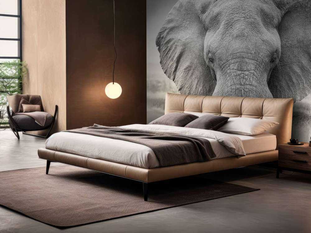 Elefant sort og hvid