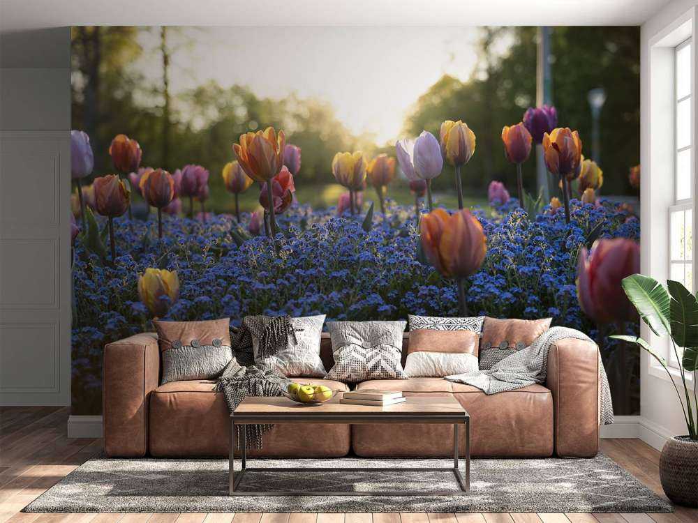 Munter tulipanfelt