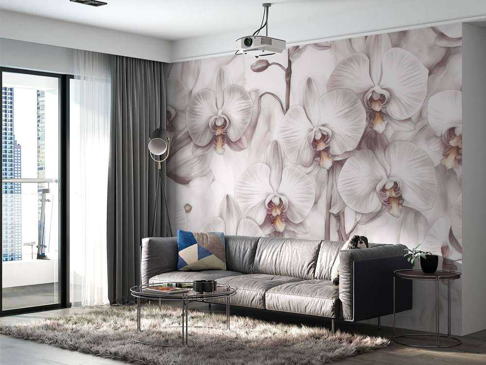 Orkideer Paradis Rød