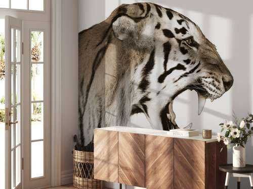 Brølende tiger offwhite