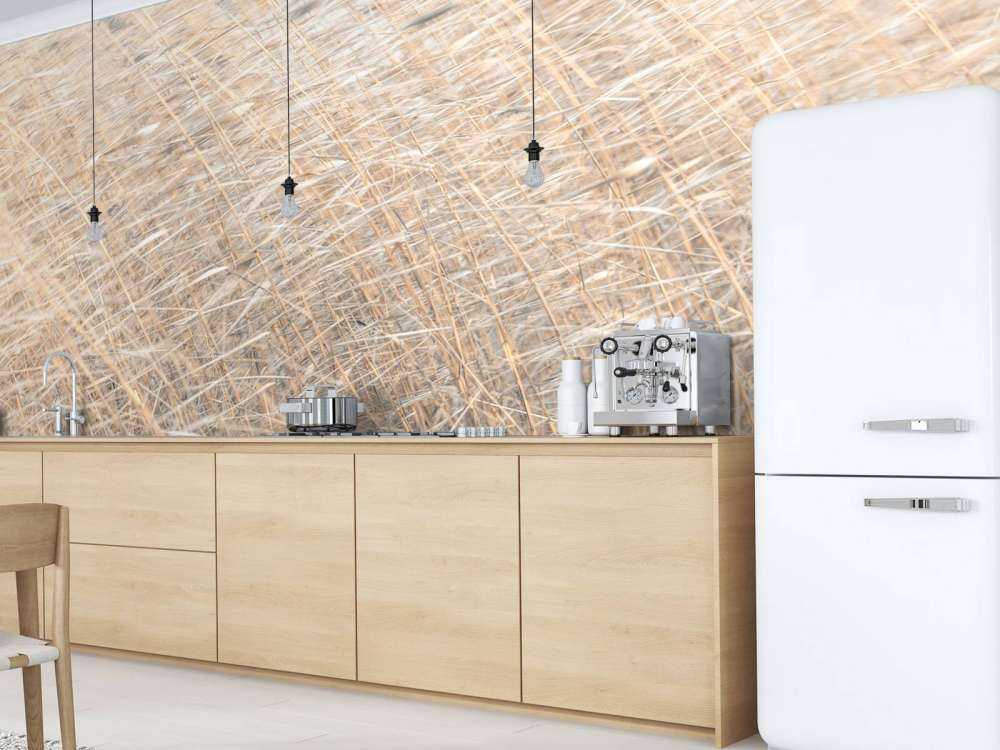 Brown reeds growing in water