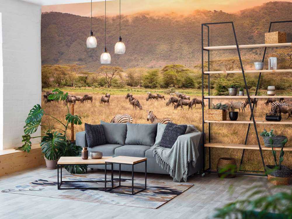Savannelandskab med zebraer